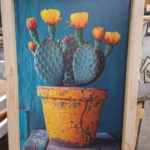Flowering Cactus
